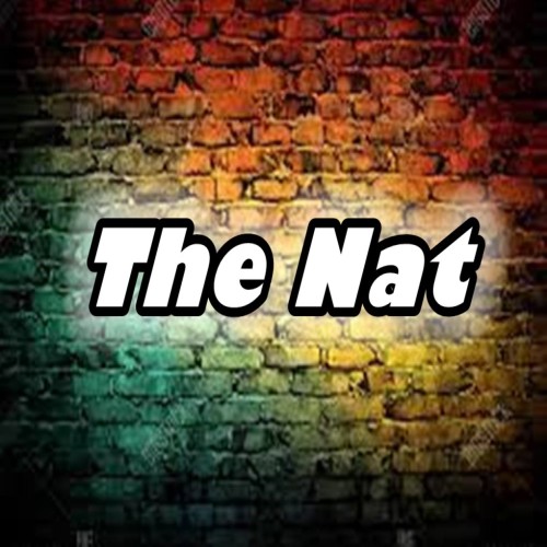 The Nat Boom Bap Type Beat