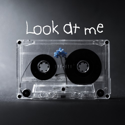 Look At Me (Like Avril Lavigne, Green Day, Blink 182)